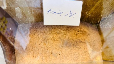 بهار بندورة